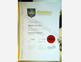 Raffles College of Design and Commerce - Fake Diploma Sample from Malaysia